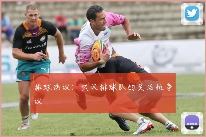 排球热议：武汉排球队的灵活性争议