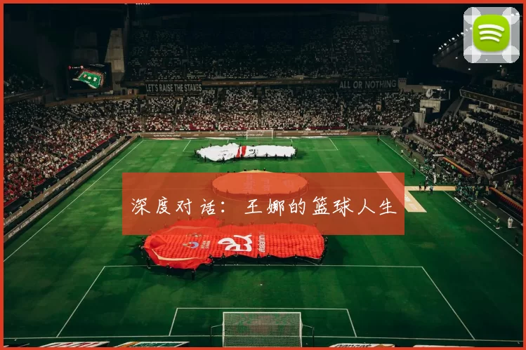 深度对话：王娜的篮球人生