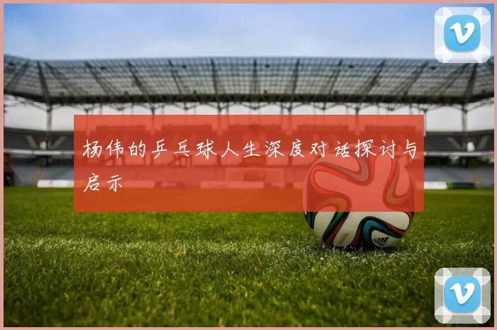 杨伟的乒乓球人生深度对话探讨与启示