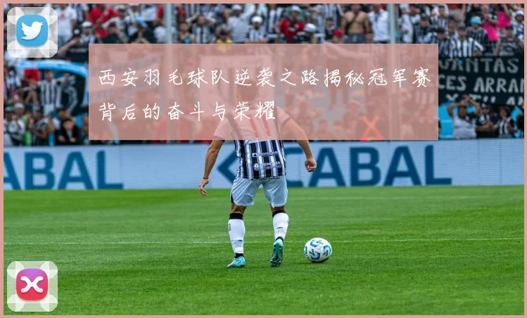 西安羽毛球队逆袭之路揭秘冠军赛背后的奋斗与荣耀