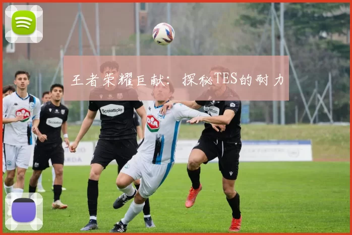 王者荣耀巨献：探秘TES的耐力