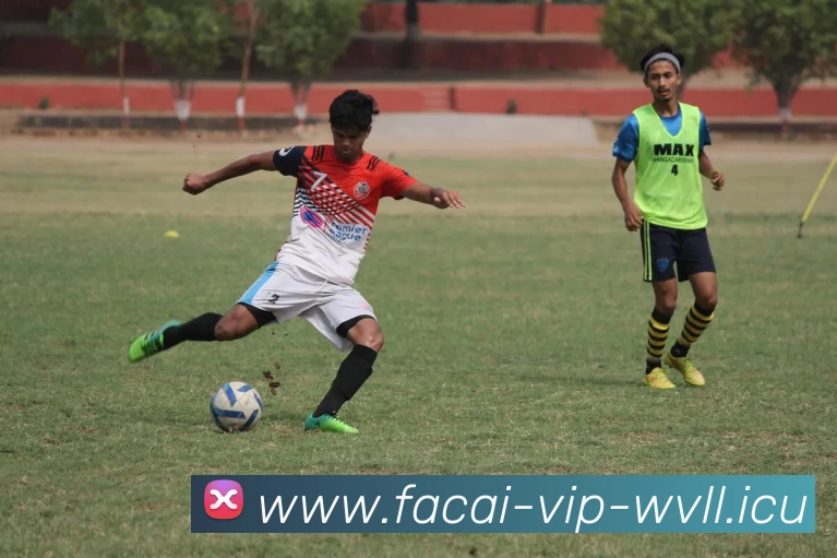 开云体育服务体系